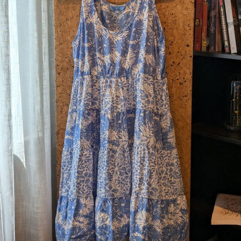 Blueginger Women's Dress